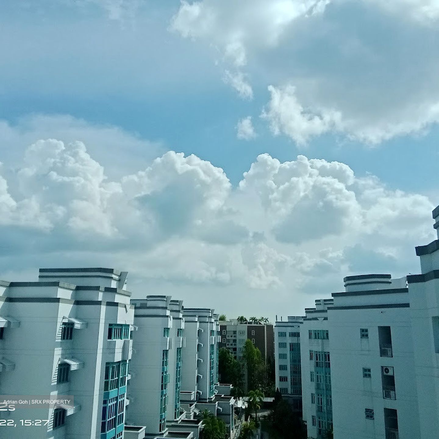 Ballota Park Condominium (D17), Condominium #447392541